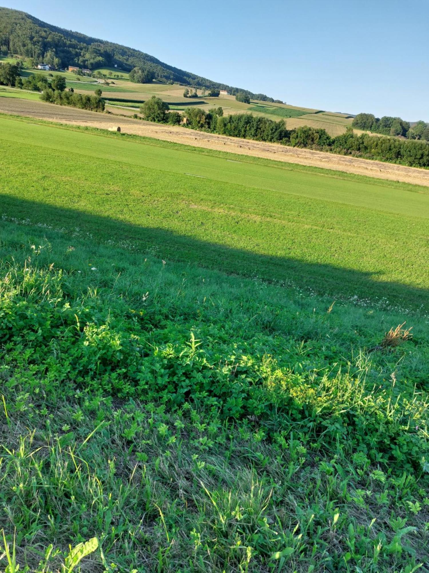 Ferienwohnung Gerti Pinkafeld Buitenkant foto