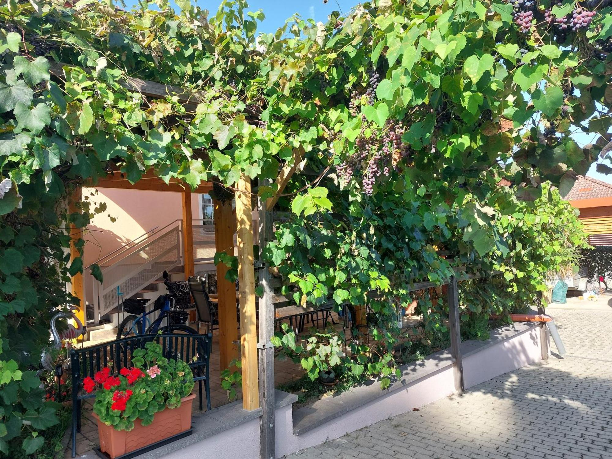 Ferienwohnung Gerti Pinkafeld Buitenkant foto