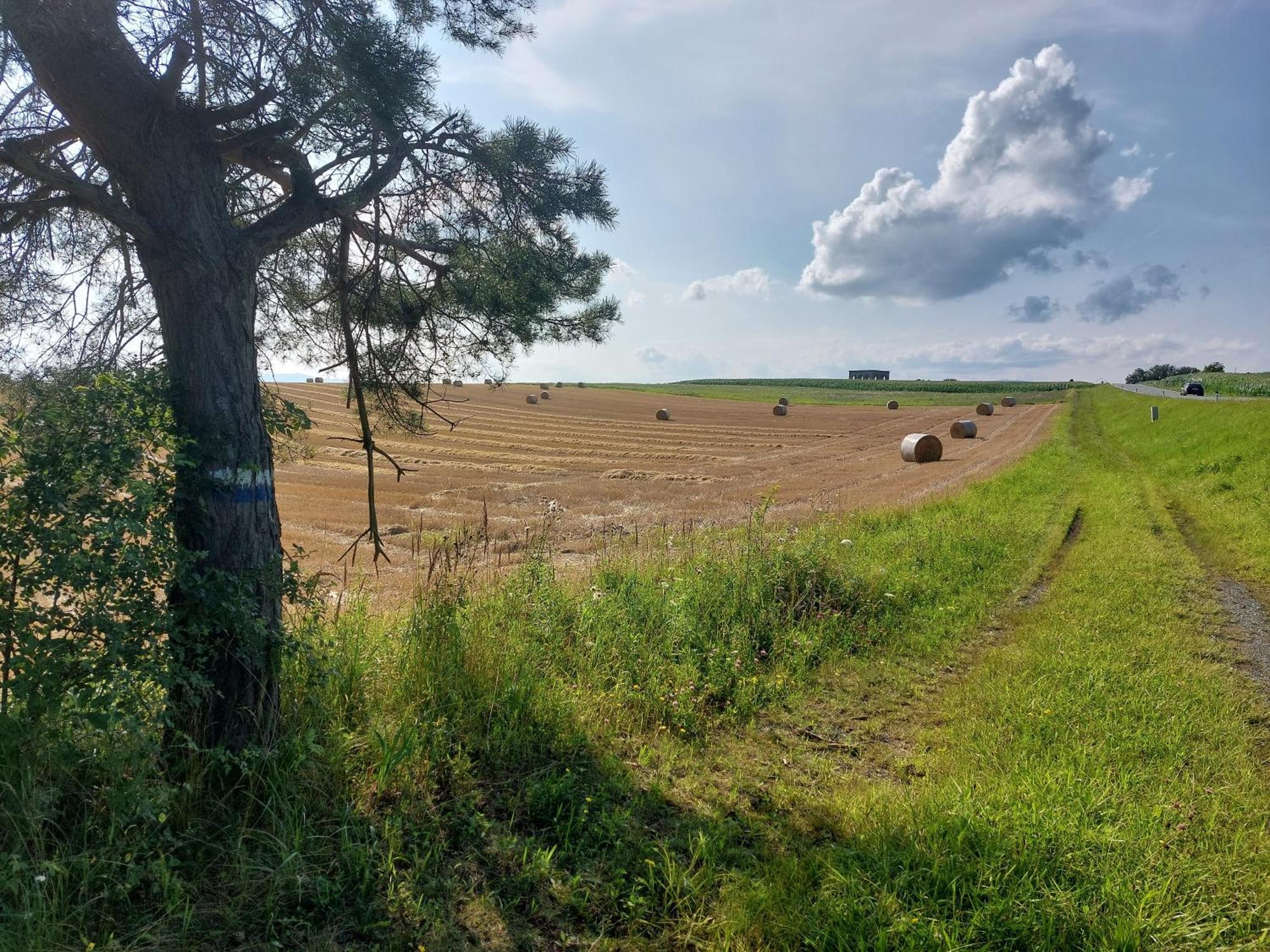 Ferienwohnung Gerti Pinkafeld Buitenkant foto