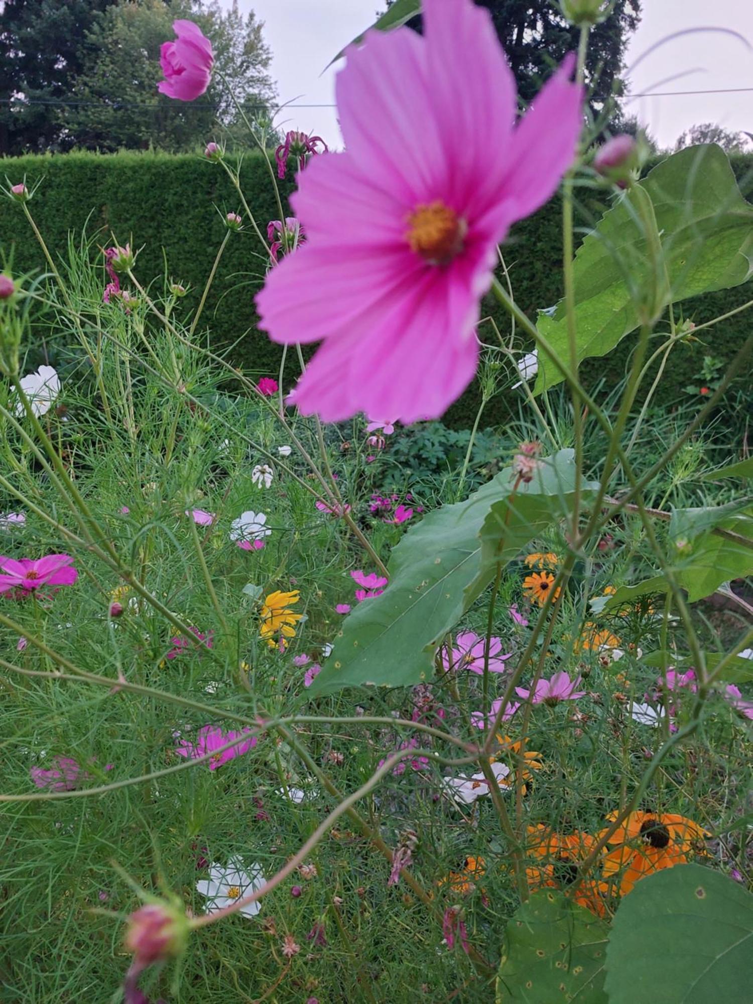 Ferienwohnung Gerti Pinkafeld Buitenkant foto