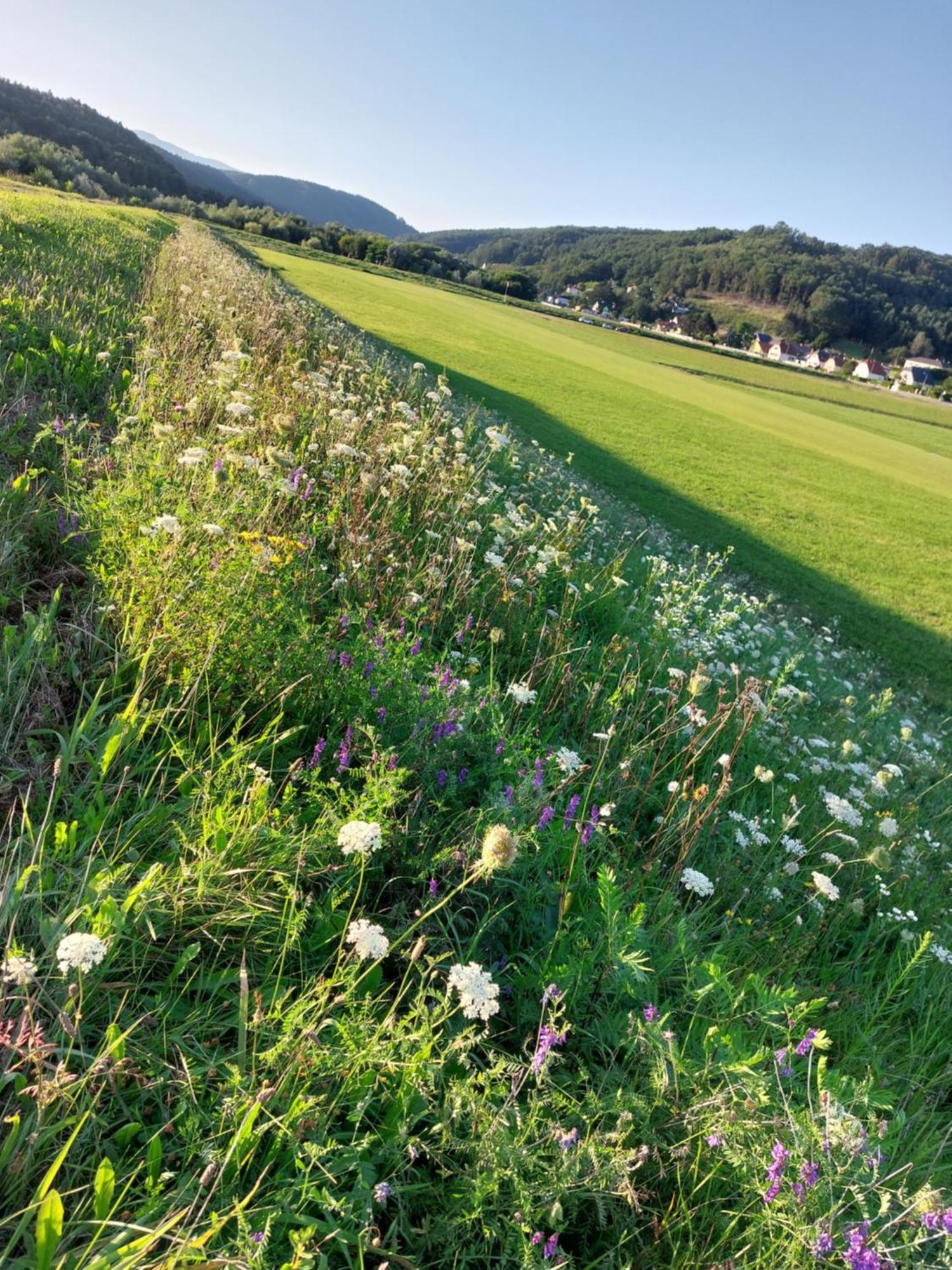 Ferienwohnung Gerti Pinkafeld Buitenkant foto